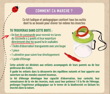 Greenapy - Kit pédagogique d'élevage de coccinelles avec BDC - Greenapy - Image 4