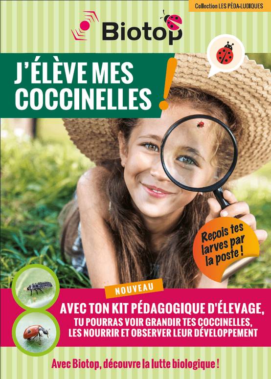 Greenapy - Kit pédagogique d'élevage de coccinelles avec BDC - Greenapy - Image 3