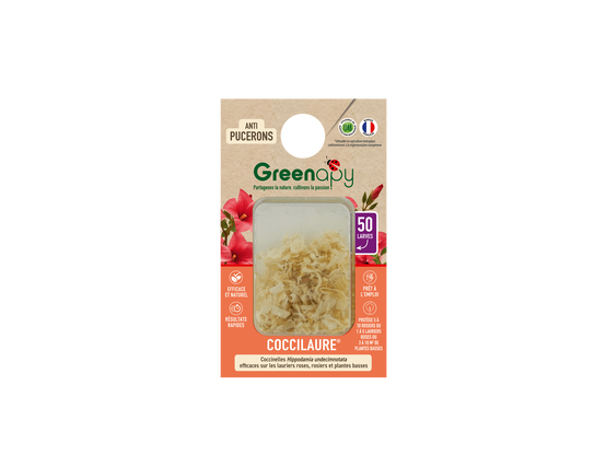 Greenapy - Coccinelles 50 larves Coccilaure anti pucerons Vivapack - Greenapy - Image 1