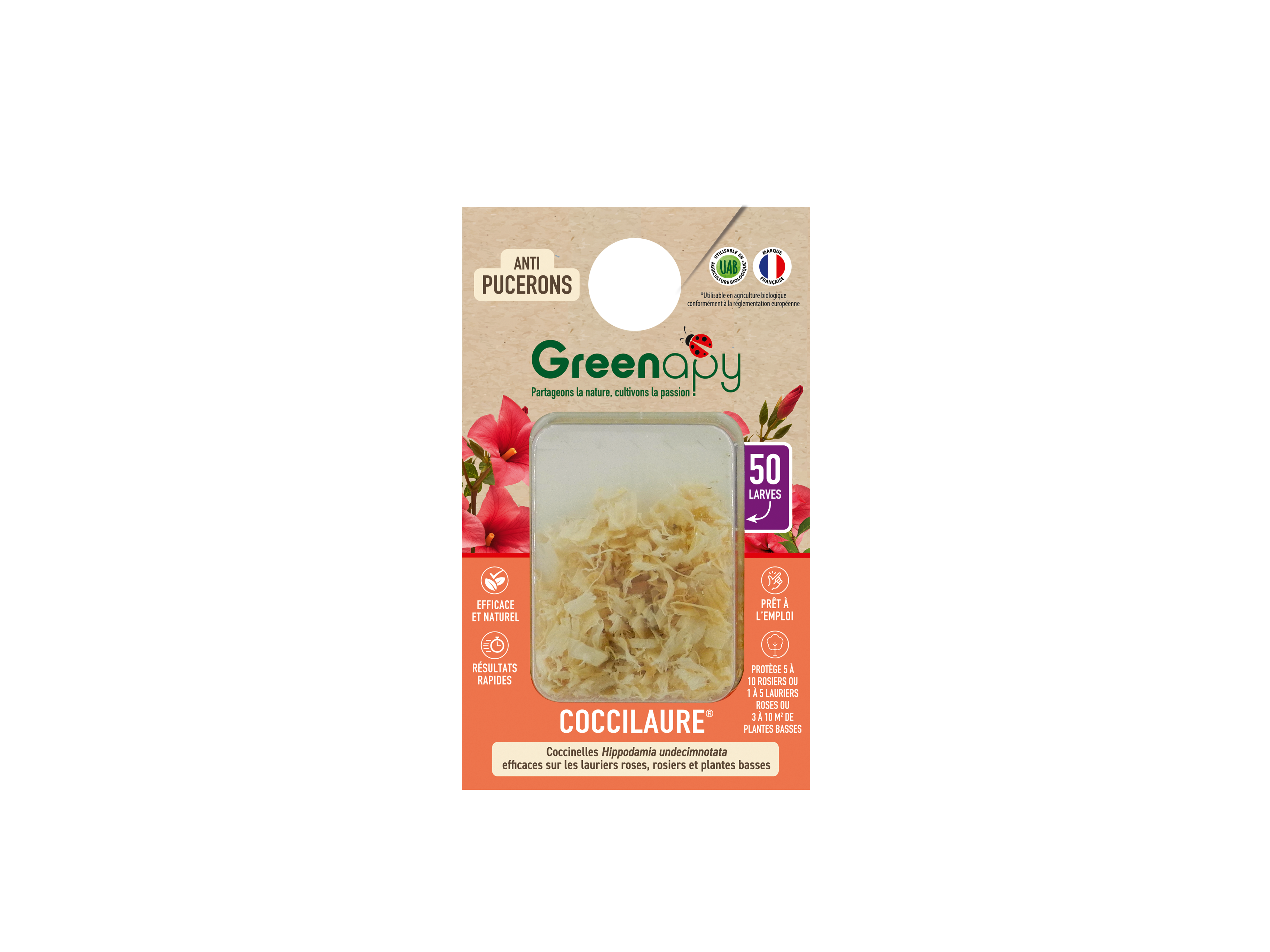 Greenapy - Coccinelles 50 larves Coccilaure anti pucerons Vivapack - Greenapy - Image 1