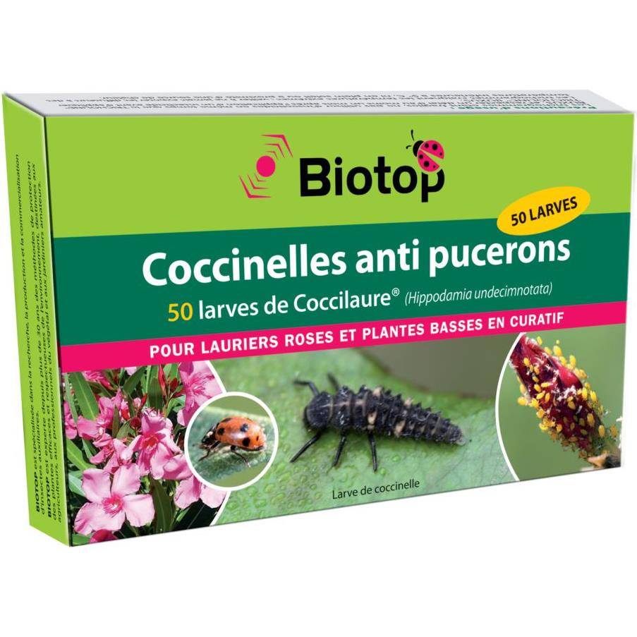 Acheter Des Coccinelles Gamm Vertnull