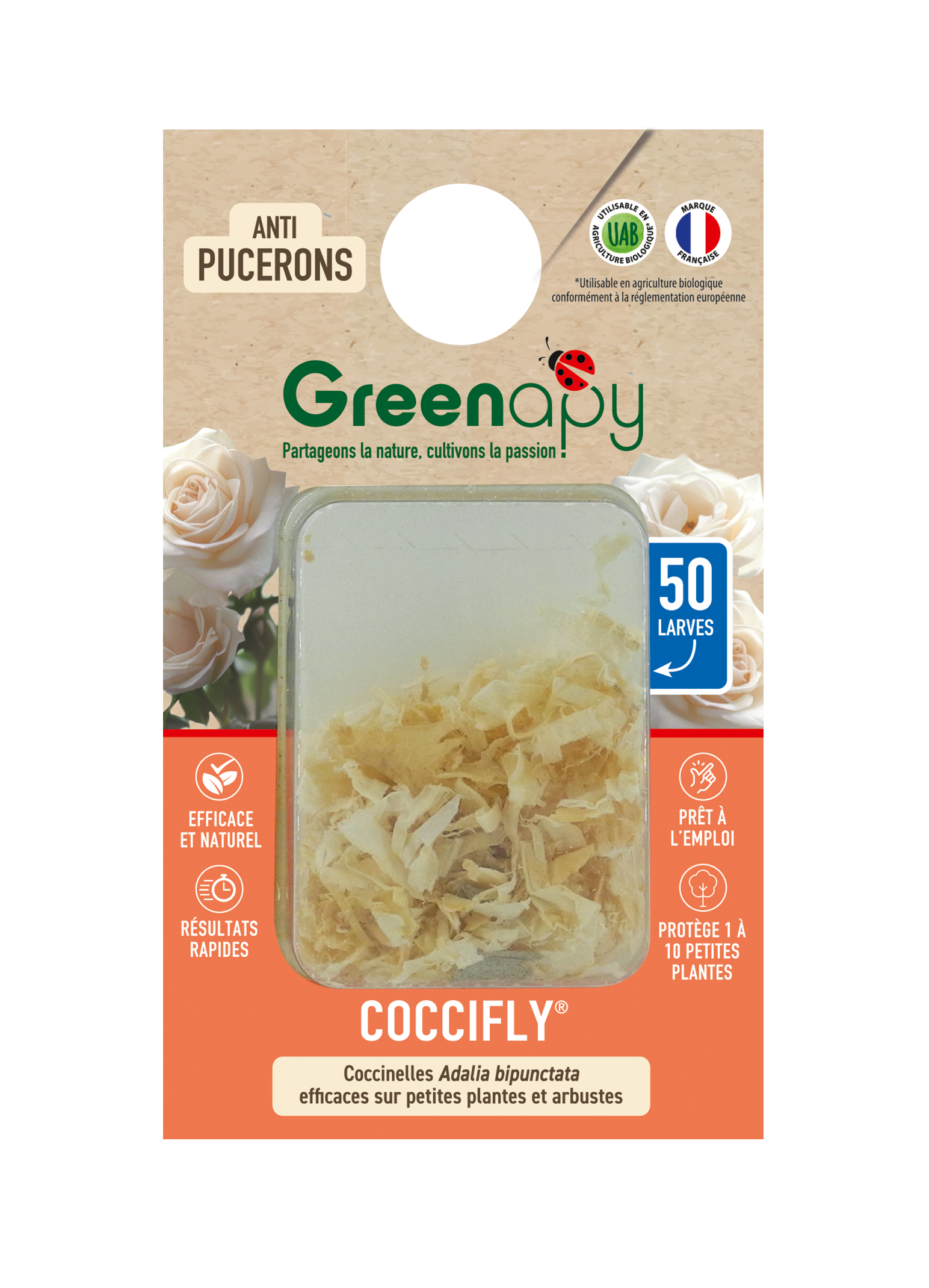Greenapy - Coccinelles 50 larves Coccifly anti pucerons Vivapack - Greenapy - Image 1