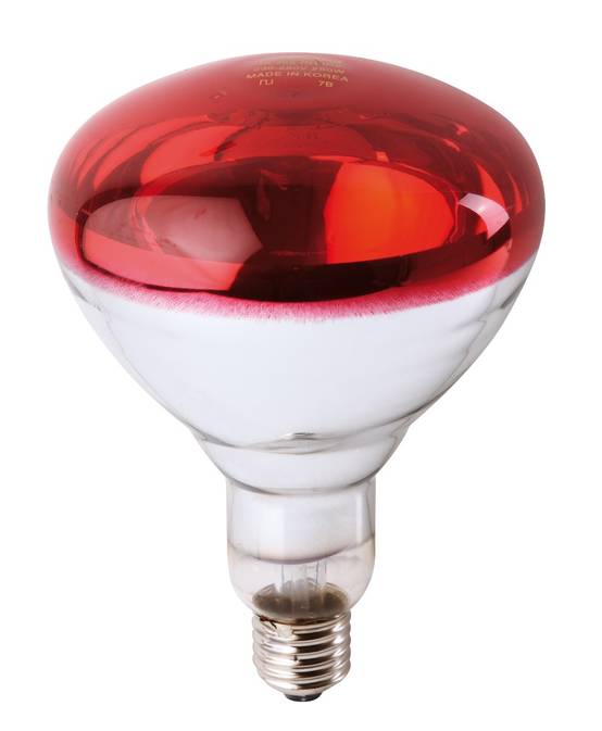 Ampoule infrarouge halogène E27 250W rouge PHILIPS - Image 1