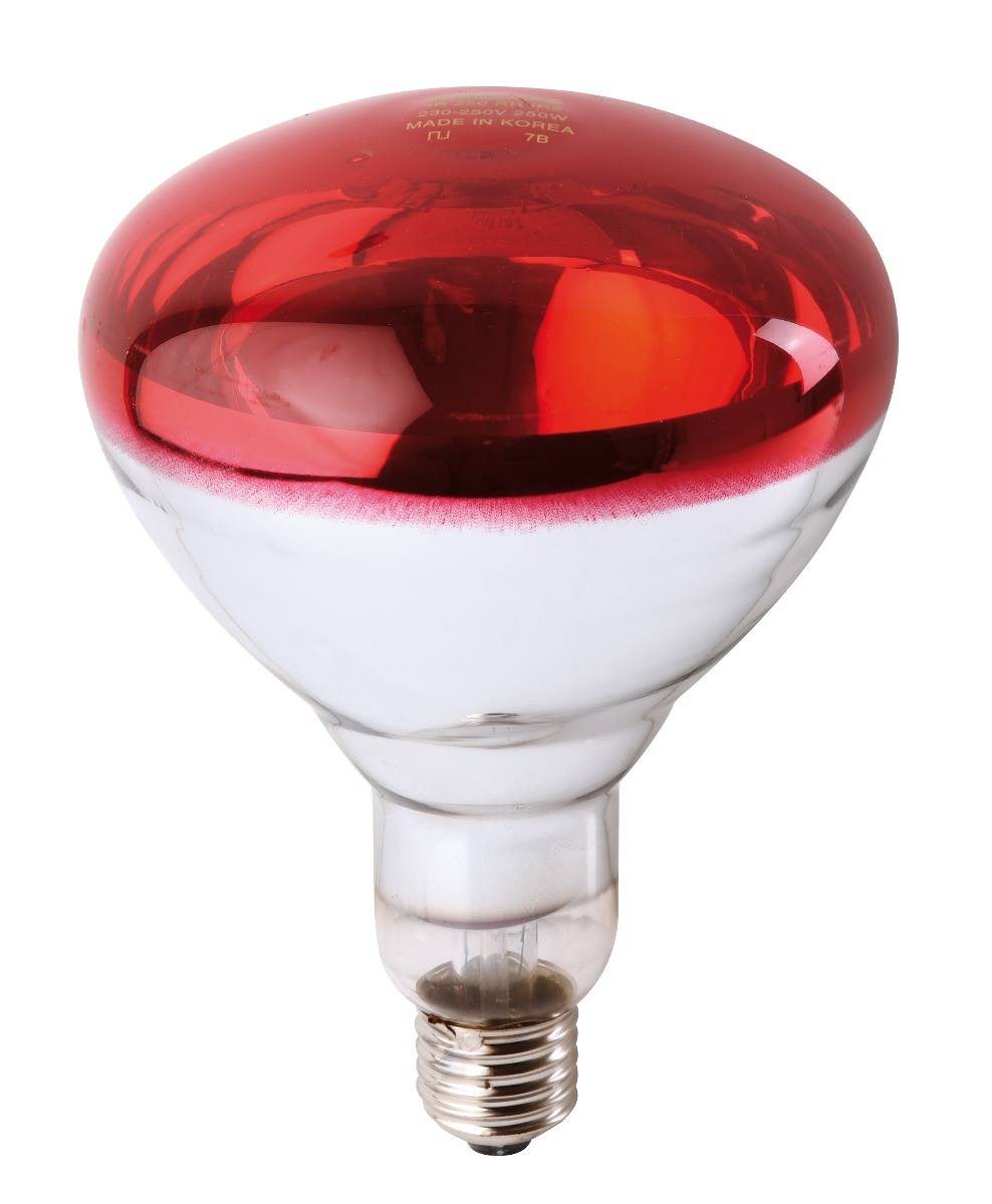 Ampoule infrarouge halogène E27 250W rouge PHILIPS