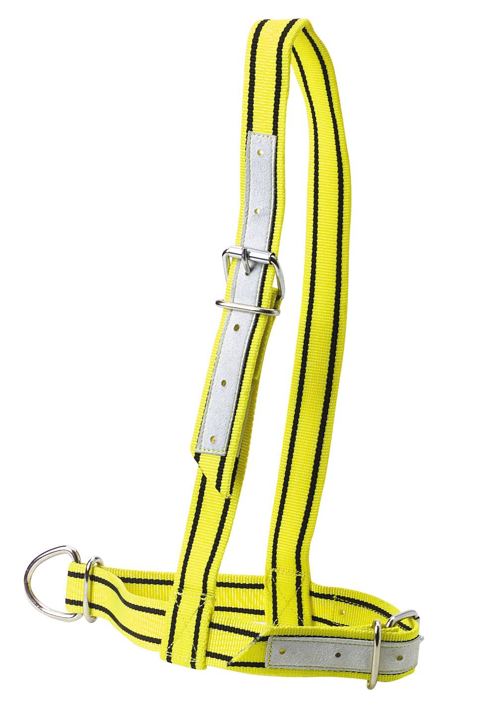 Licol en nylon jaune et noir pour vache