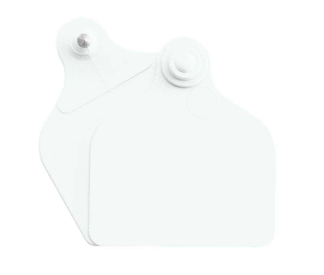 Boucles de marquage Ukal Flex maxi+maxi nue blanc x20