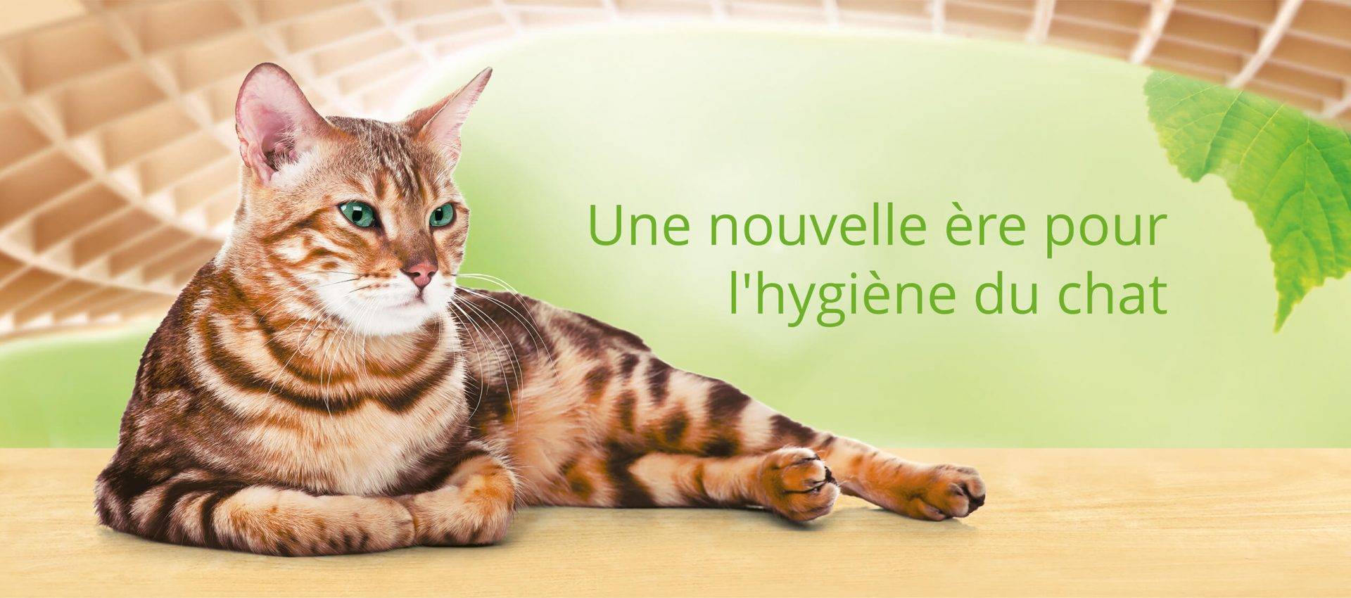 Cat's Best - Litière pour chat Smart pellets 10 L / 5 kg - CAT'S BEST - Image 3