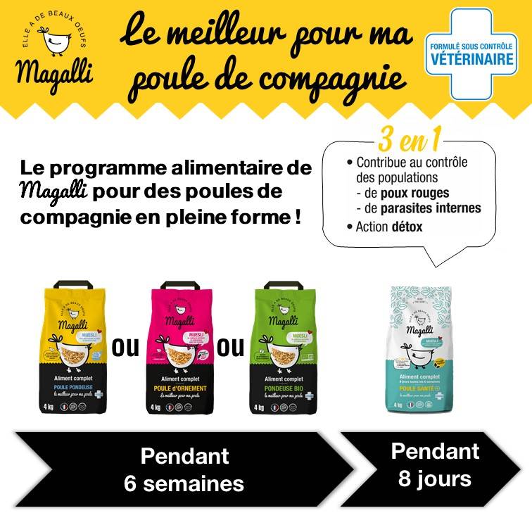 Magalli - Aliment Muesli Poule d'Ornement – MAGALLI - Image 4