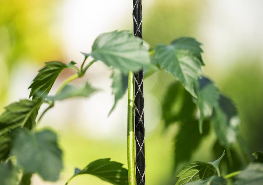tuteur fibre de verre - Image 2