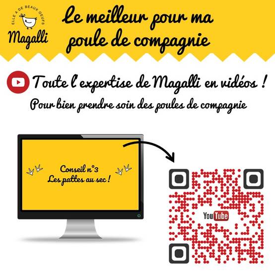 Magalli - Litière couvre-sol pour poulailler aux chips de coco 100% naturelles - MAGALLI - Image 3