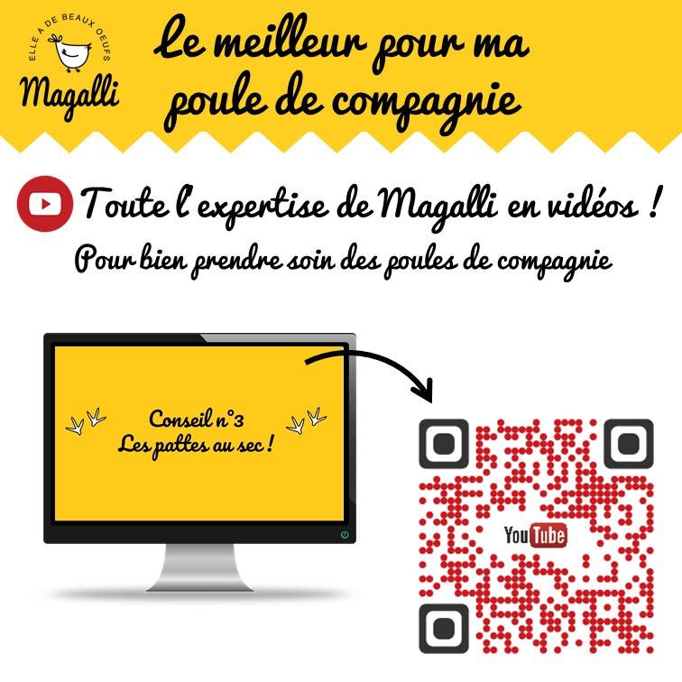 Magalli - Litière couvre-sol pour poulailler aux chips de coco 100% naturelles - MAGALLI - Image 3