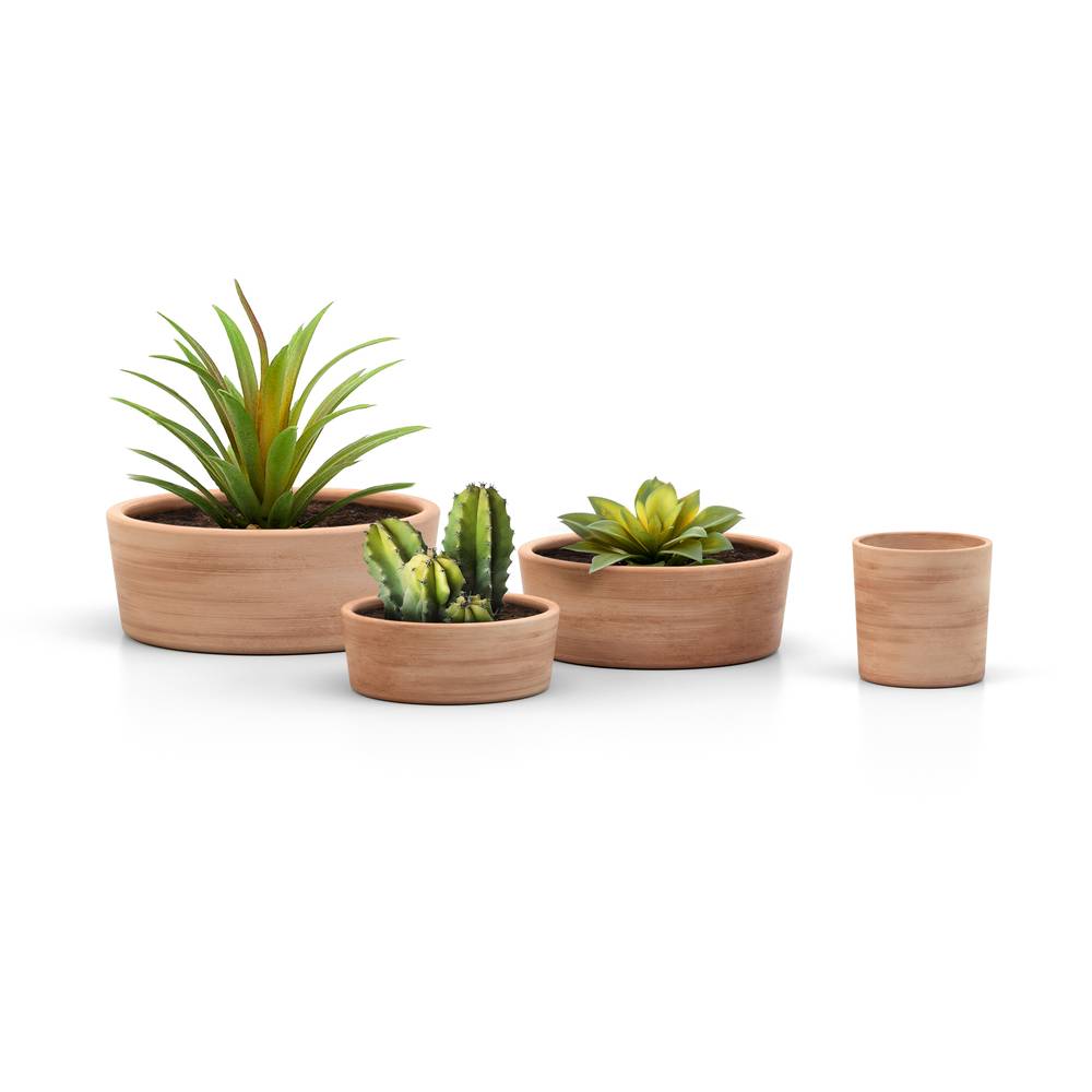 Coupe basse droite Pot Terre Cuite D 28 cm H 10 cm – GOICOECHEA - Image 2