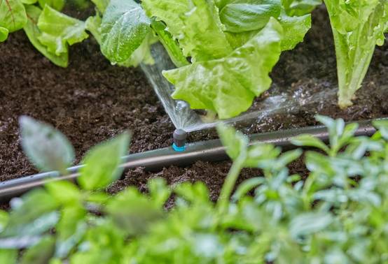 Gardena - Micro-asperseur 90° pour tuyau Ø 13 mm boîte de 5 pièces - Gardena - Image 5