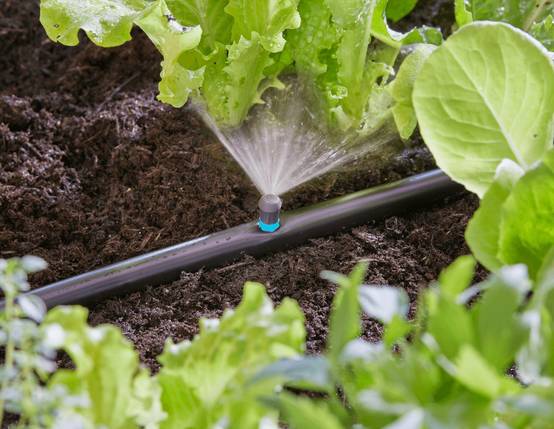 Gardena - Micro-asperseur 90° pour tuyau Ø 13 mm boîte de 5 pièces - Gardena - Image 2