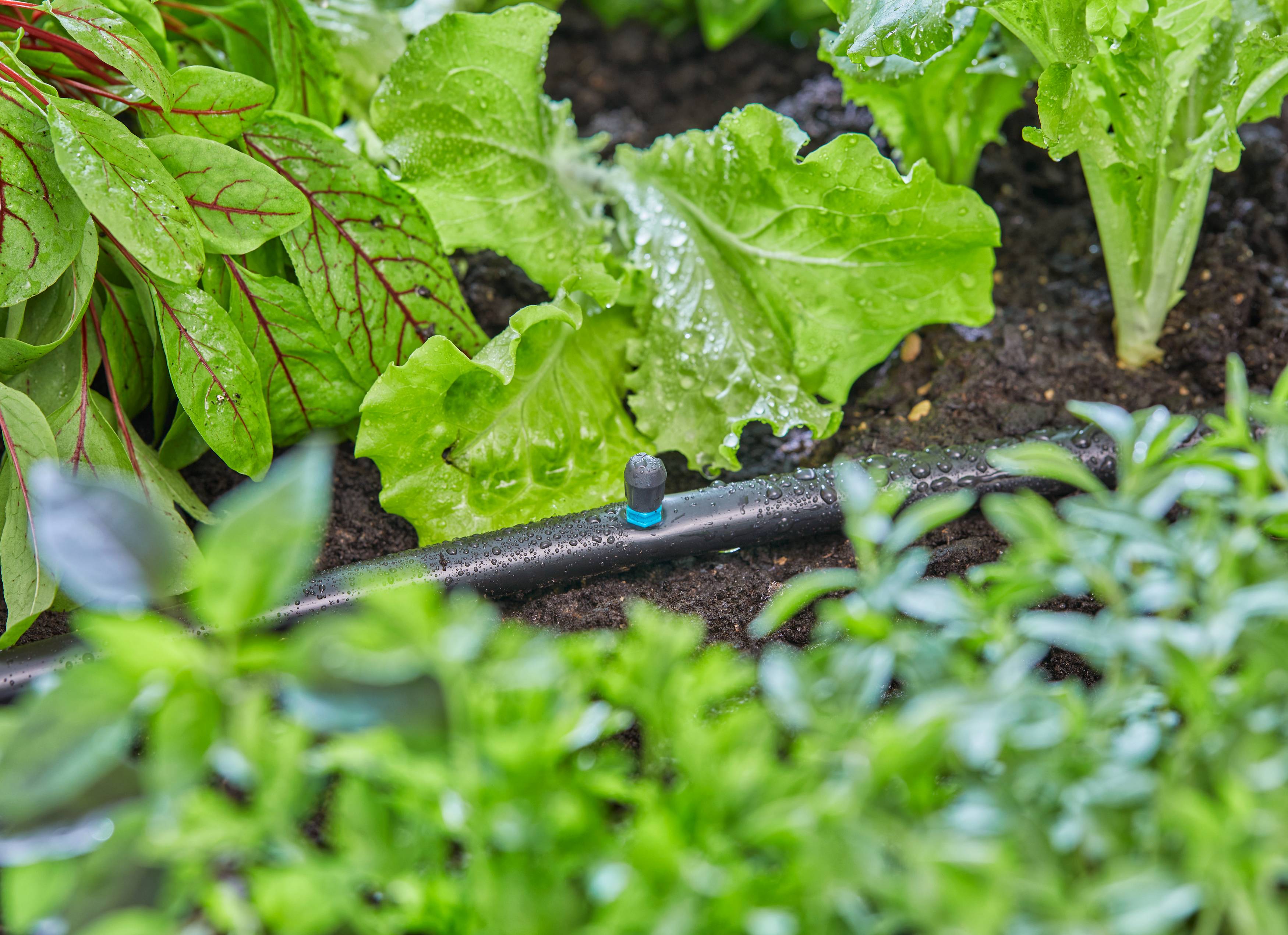 Gardena - Micro-asperseur 90° pour tuyau Ø 13 mm boîte de 5 pièces - Gardena - Image 6