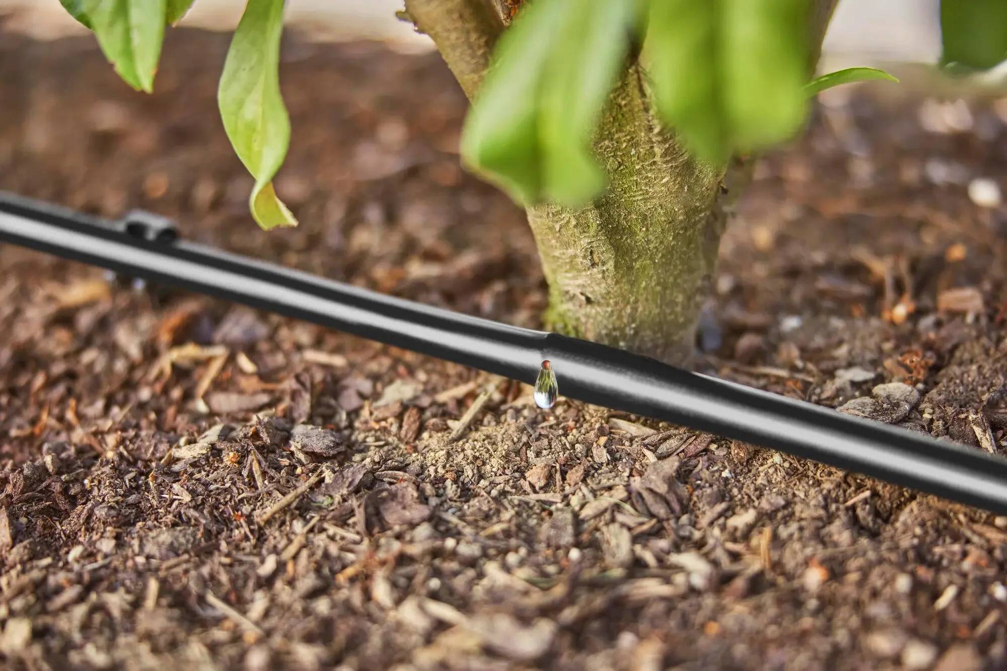 Kit d'arrosage goutte-à-goutte pour rangée de plantes 25m - GARDENA - Image 5