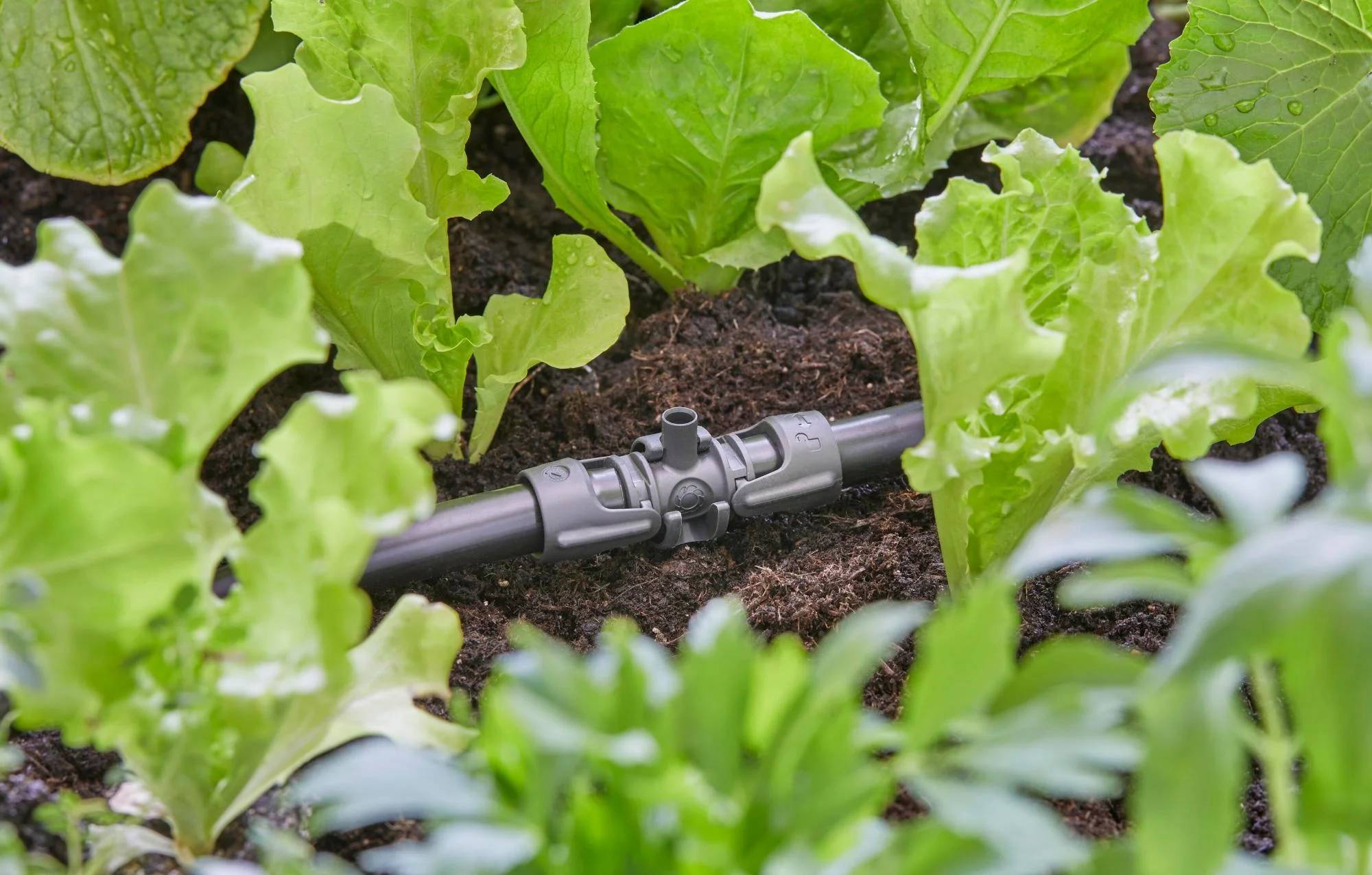 Gardena - Dérivation en T pour micro-asperseurs plastique 13 mm - Gardena - Image 3