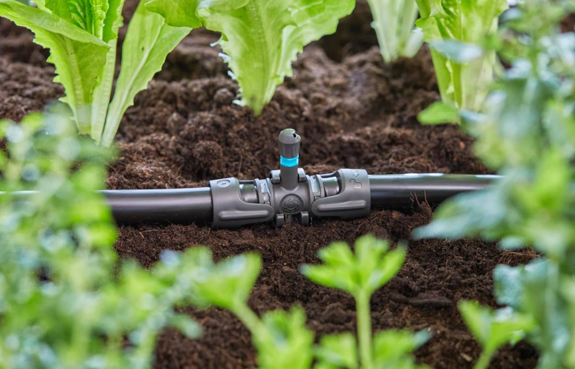 Gardena - Dérivation en T pour micro-asperseurs plastique 13 mm - Gardena - Image 2