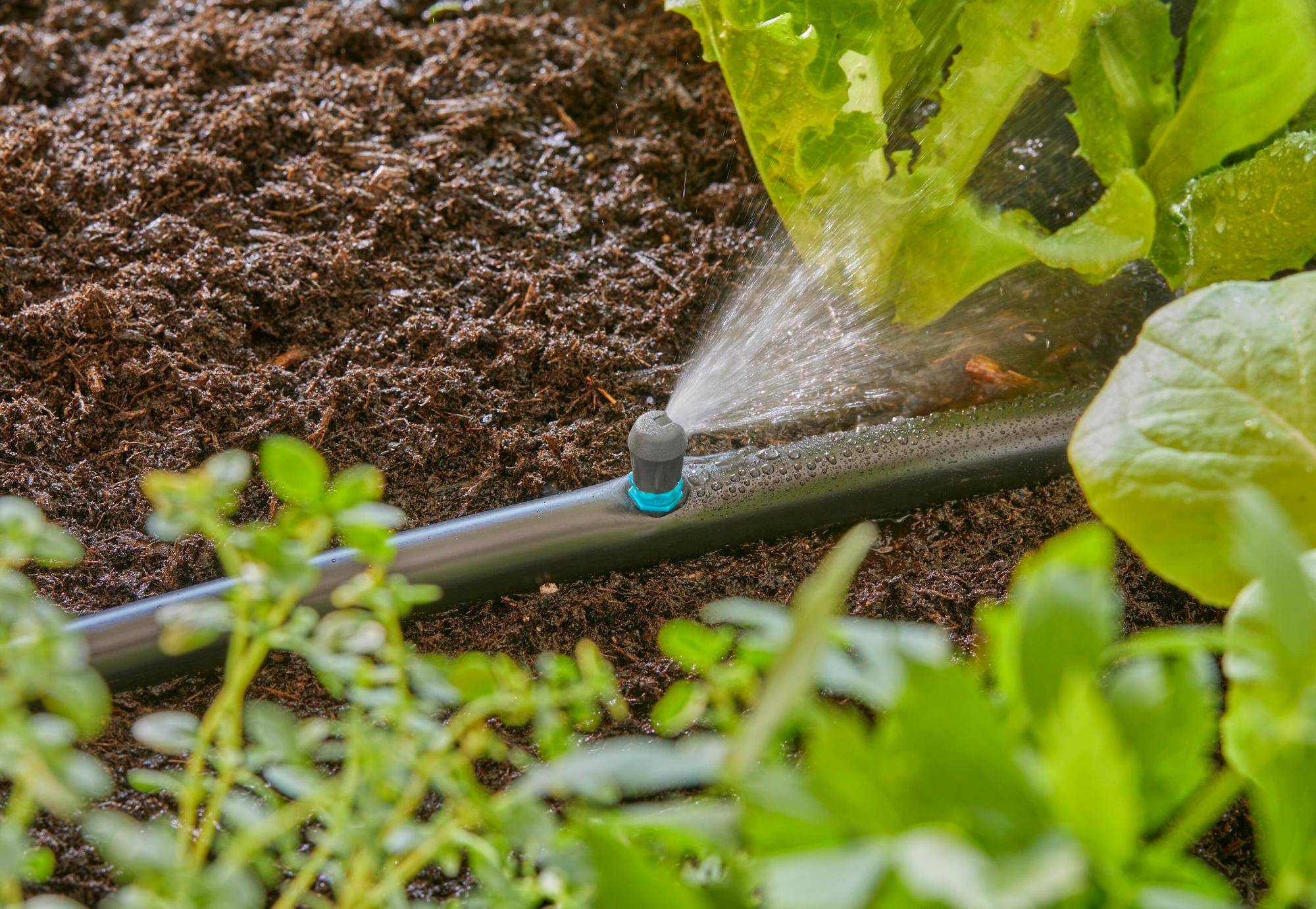 Gardena - Micro-asperseur plate-bande Goutte-à-goutte 13 mm - Gardena - Image 3