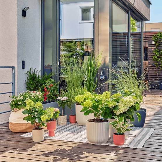 Gardena - Kit d'arrosage goutte-à-goutte pour terrasse 30 plantes - Gardena - Image 9