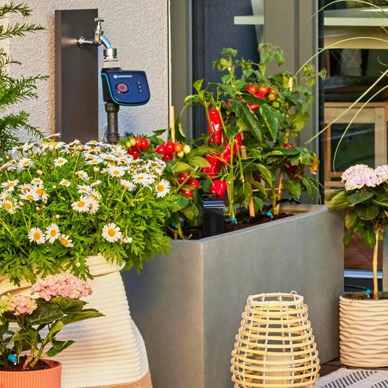 Gardena - Kit d'arrosage goutte-à-goutte pour terrasse 30 plantes - Gardena - Image 8