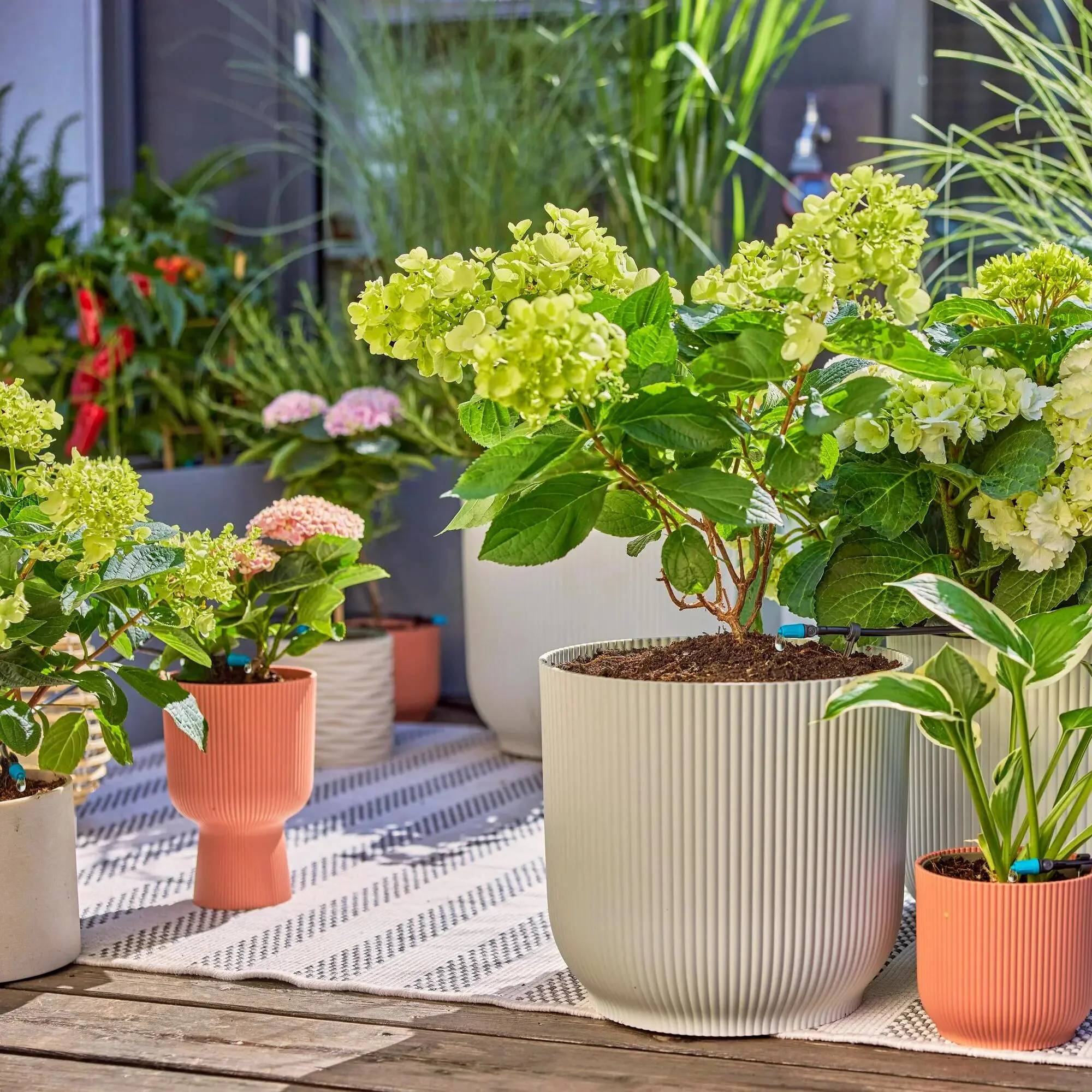 Gardena - Kit d'arrosage goutte-à-goutte pour terrasse 30 plantes - Gardena - Image 6
