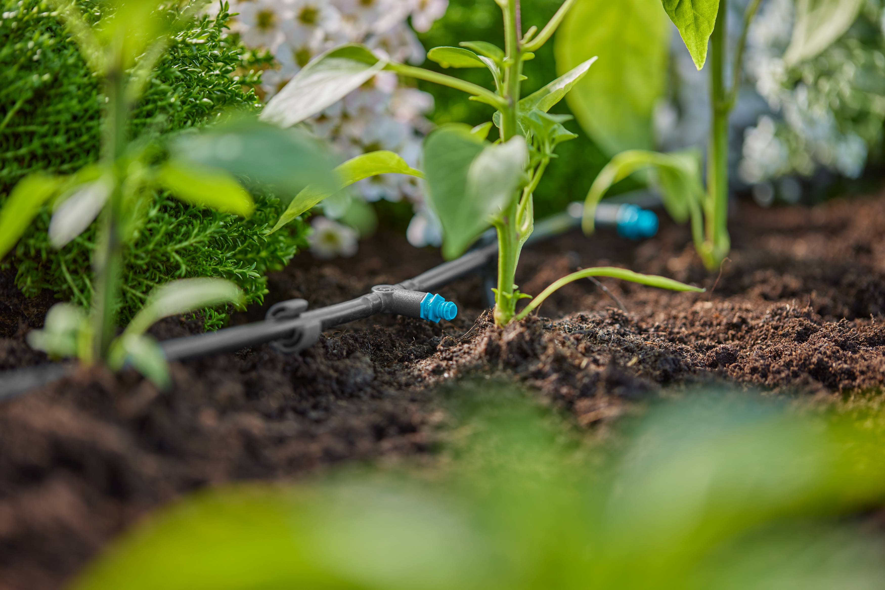 Gardena - Goutteur en ligne auto-régulant 2L/h Boîte de 10 pièces - Gardena - Image 3