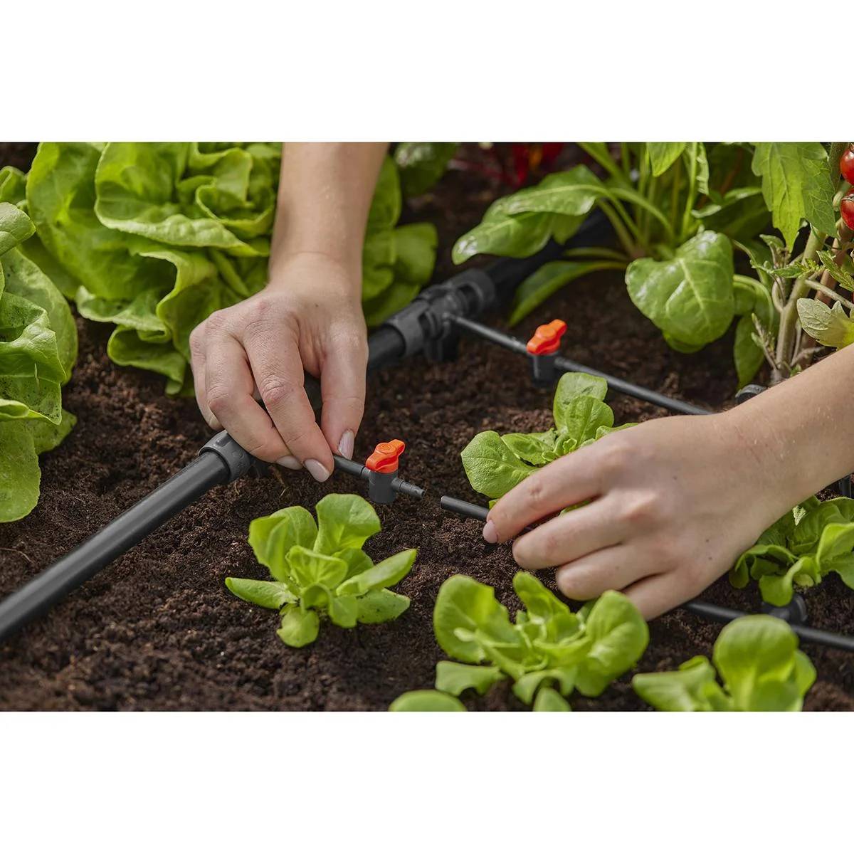 Gardena - Réducteur en T plastique rouge entre tuyaux Ø 13 et 4,6 mm - Gardena - Image 5