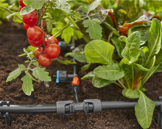 Gardena - Réducteur en T plastique rouge entre tuyaux Ø 13 et 4,6 mm - Gardena - Image 10