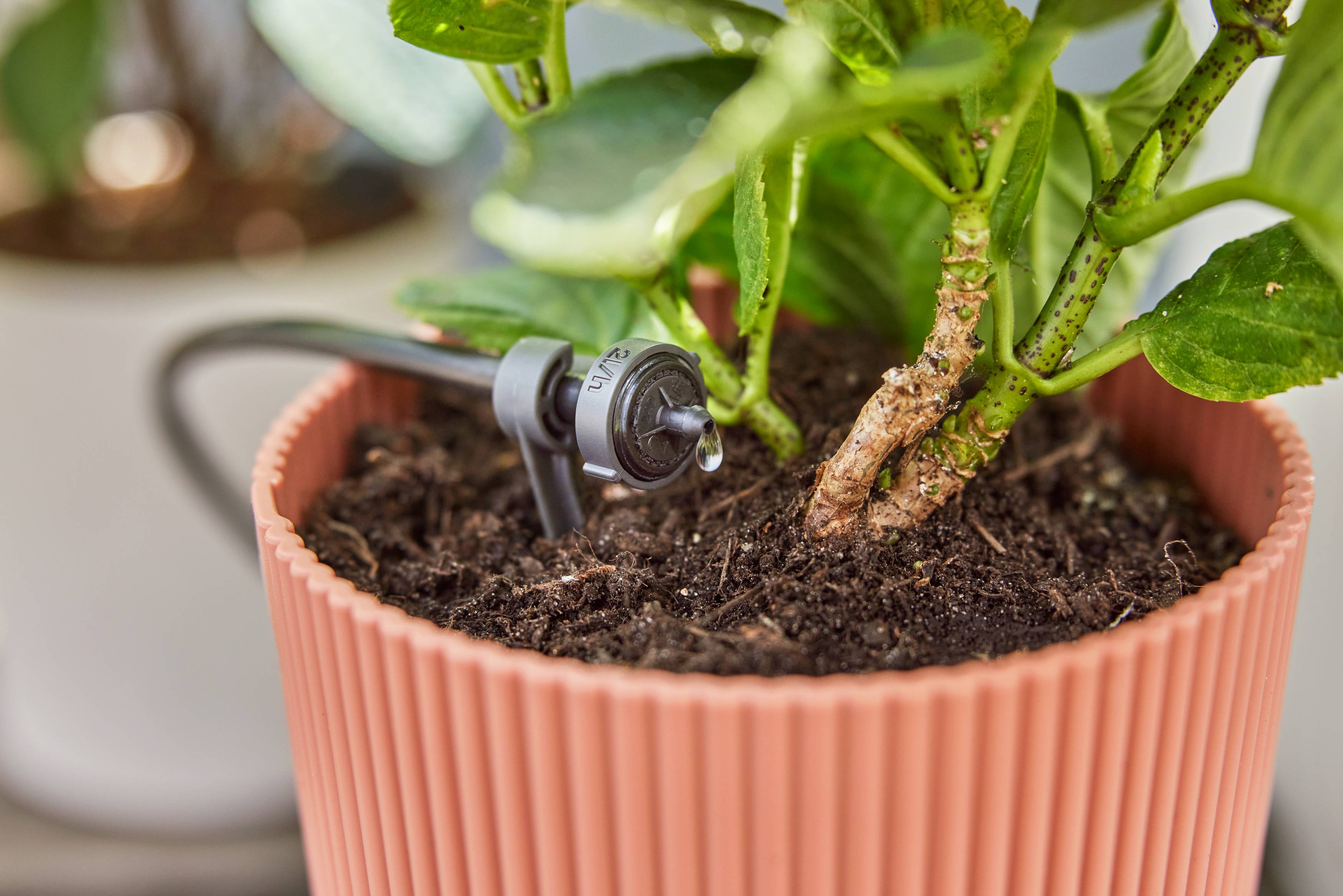 Gardena - Kit d'arrosage goutte-à-goutte balcon 15 plantes - Gardena