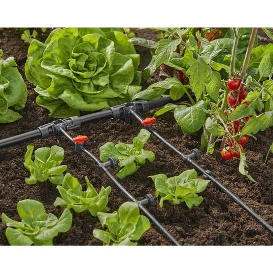 Gardena - Goutteur en ligne régulateur de pression 2 l/h Boite de 20 pièces - Gardena - Image 3