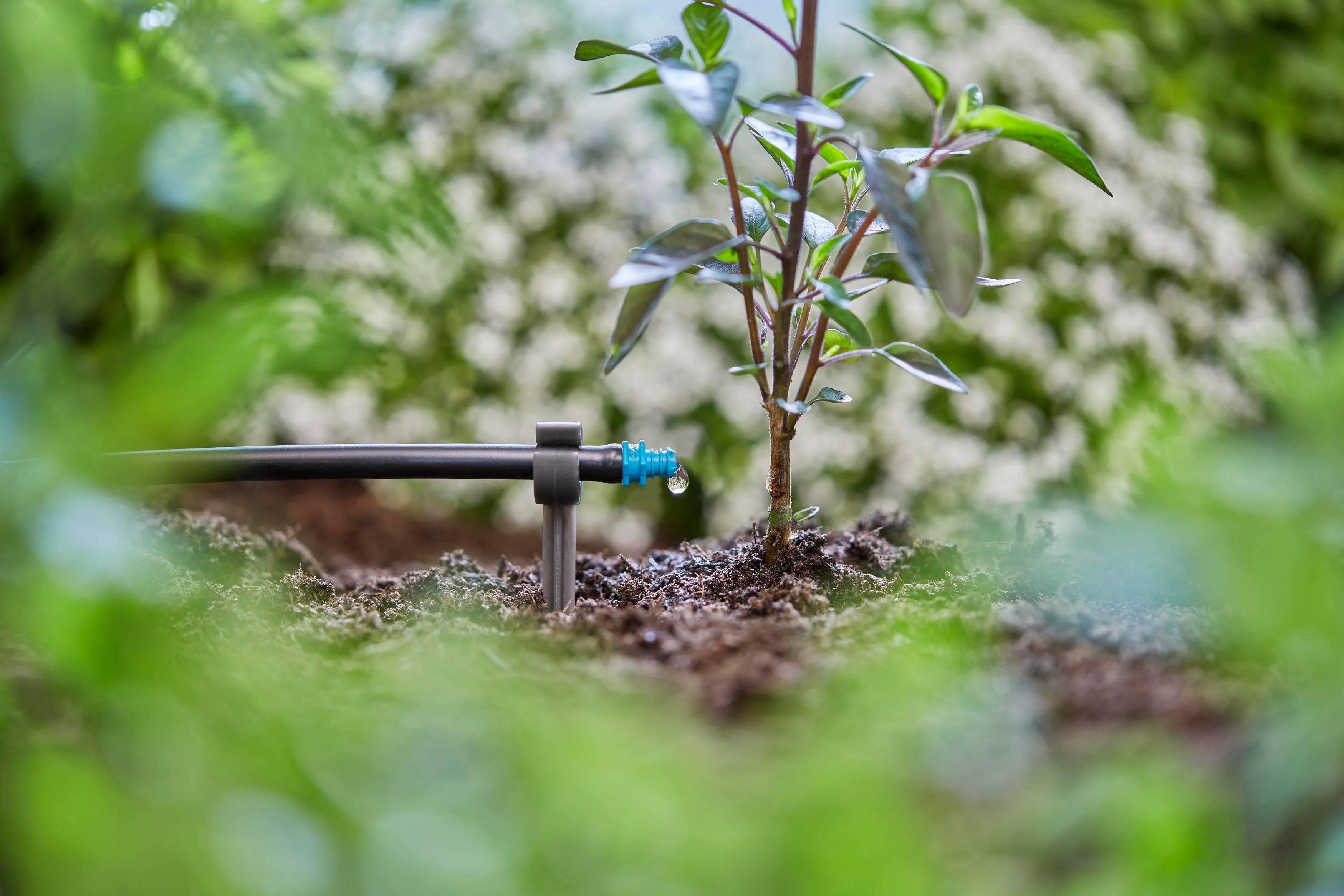 Gardena - Goutteur fin de ligne autoregulant 2l/h - Gardena - Image 6