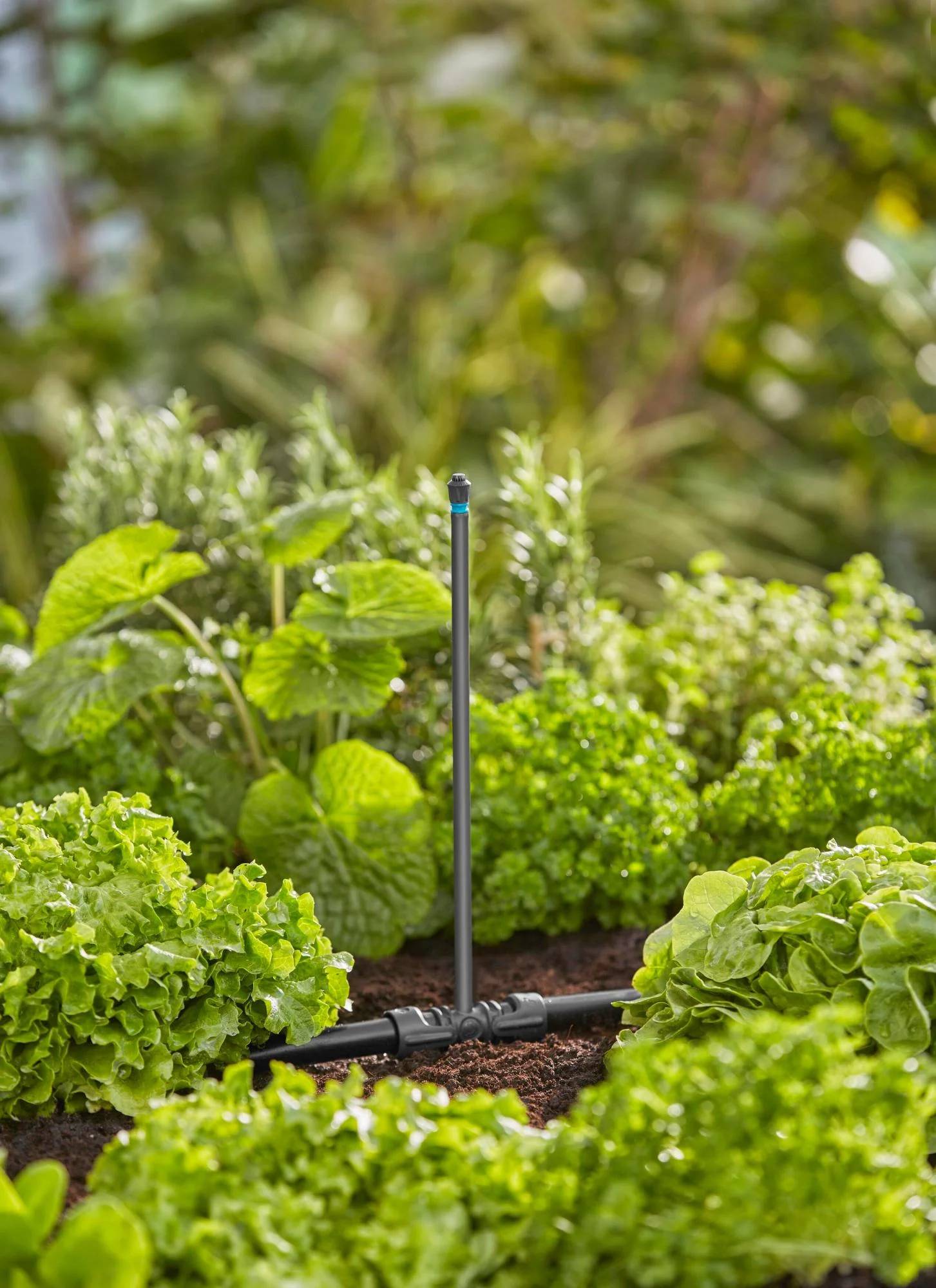 Gardena - Tube prolongateur pour micro-asperseur Boite 5 pièces - Gardena - Image 2