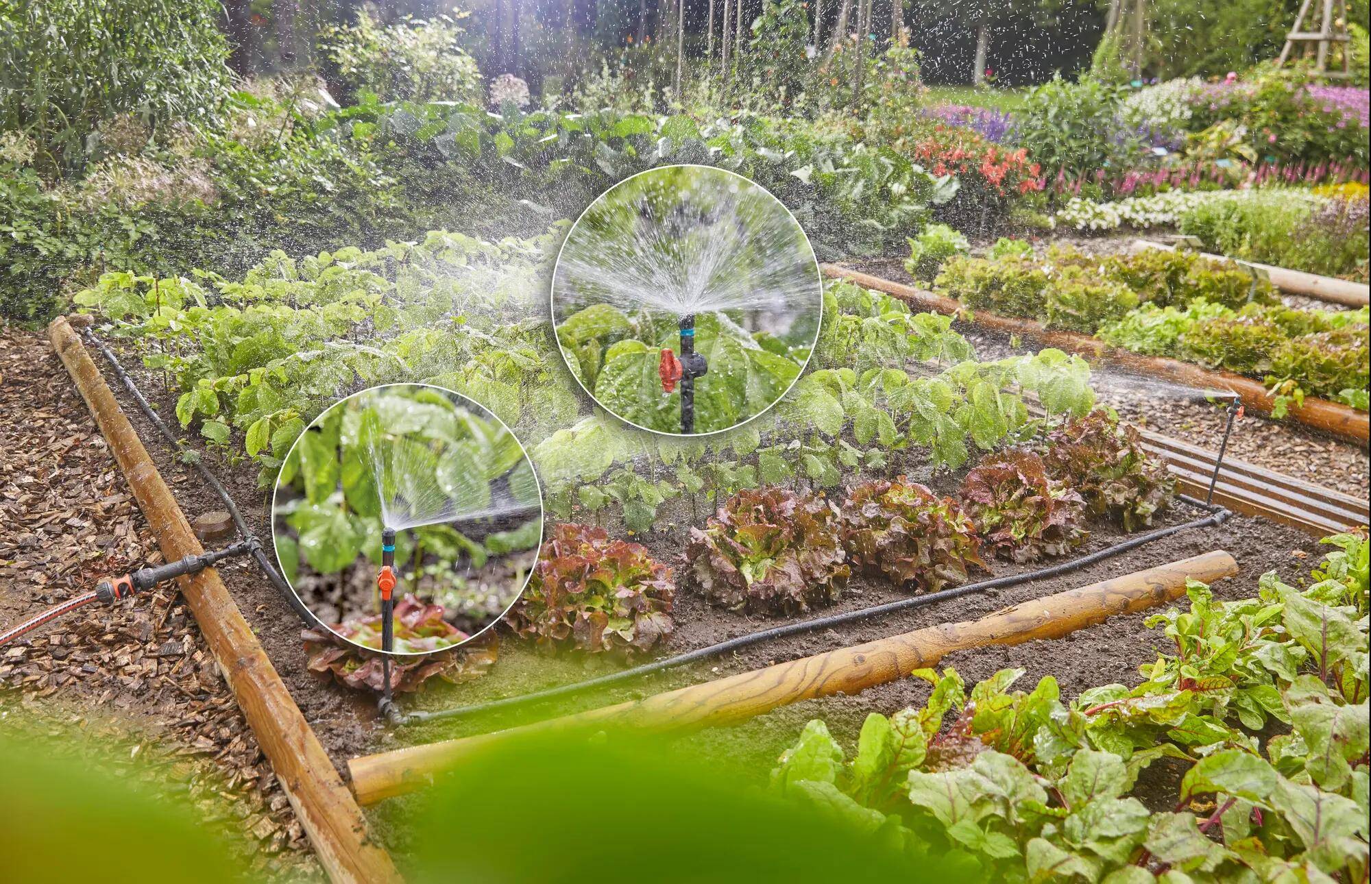 Kit d'arrosage goutte-à-goutte - GARDENA - Image 3