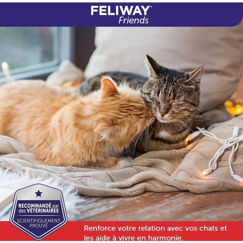 Apaisant Feliway Friends pour chat recharge diffuseur 3x48 ml – FELIWAY - Image 3