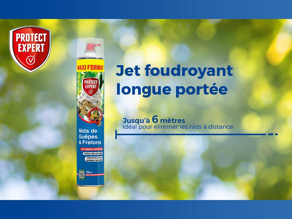 GUEPES ET FRELONS JET LONGUE PORTÉE - AÉROSOL - Image 4