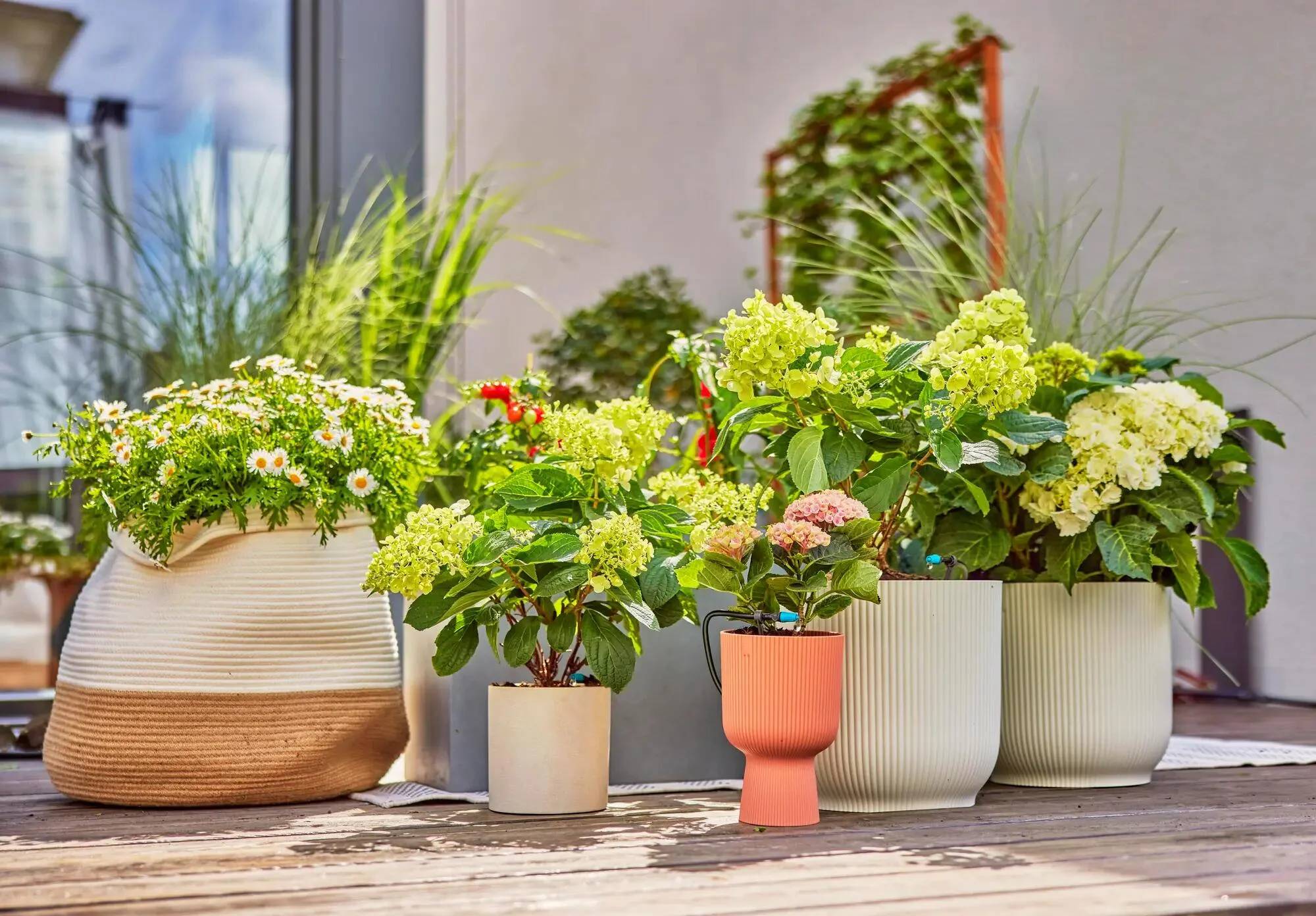 Kit d'arrosage goutte-à-goutte pour terrasse 30 plantes 13400-20 - GARDENA