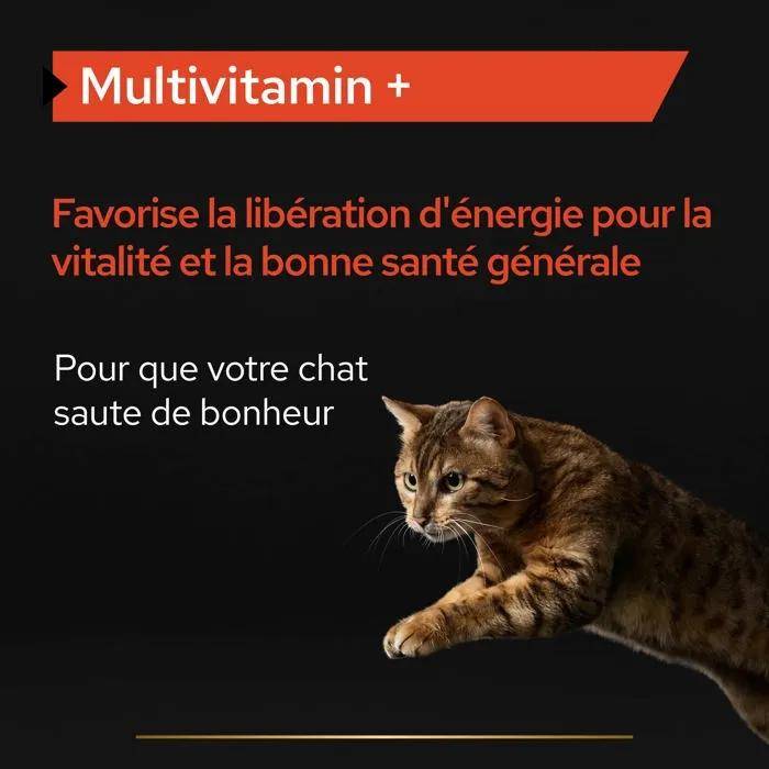 Complément alimentaire multivitamins pour chat poudre boîte 60 g - Pro plan - Image 2