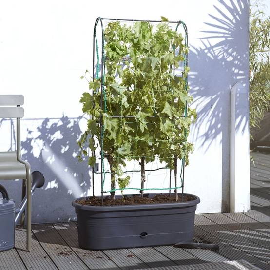 Elho - Jardinière Treillis Polypropylène Noir - ELHO - Image 4