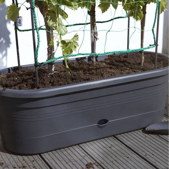 Elho - Jardinière Treillis Polypropylène Noir - ELHO - Image 3