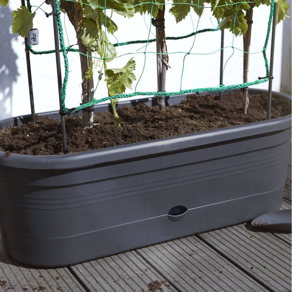 Elho - Jardinière Treillis Polypropylène Noir - ELHO - Image 3