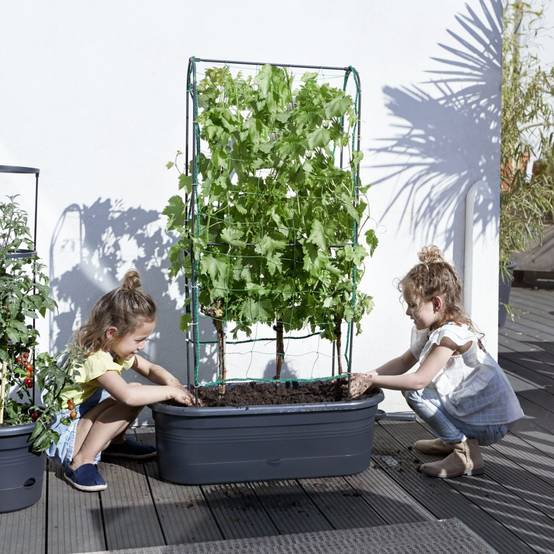 Elho - Jardinière Treillis Polypropylène Noir - ELHO - Image 7