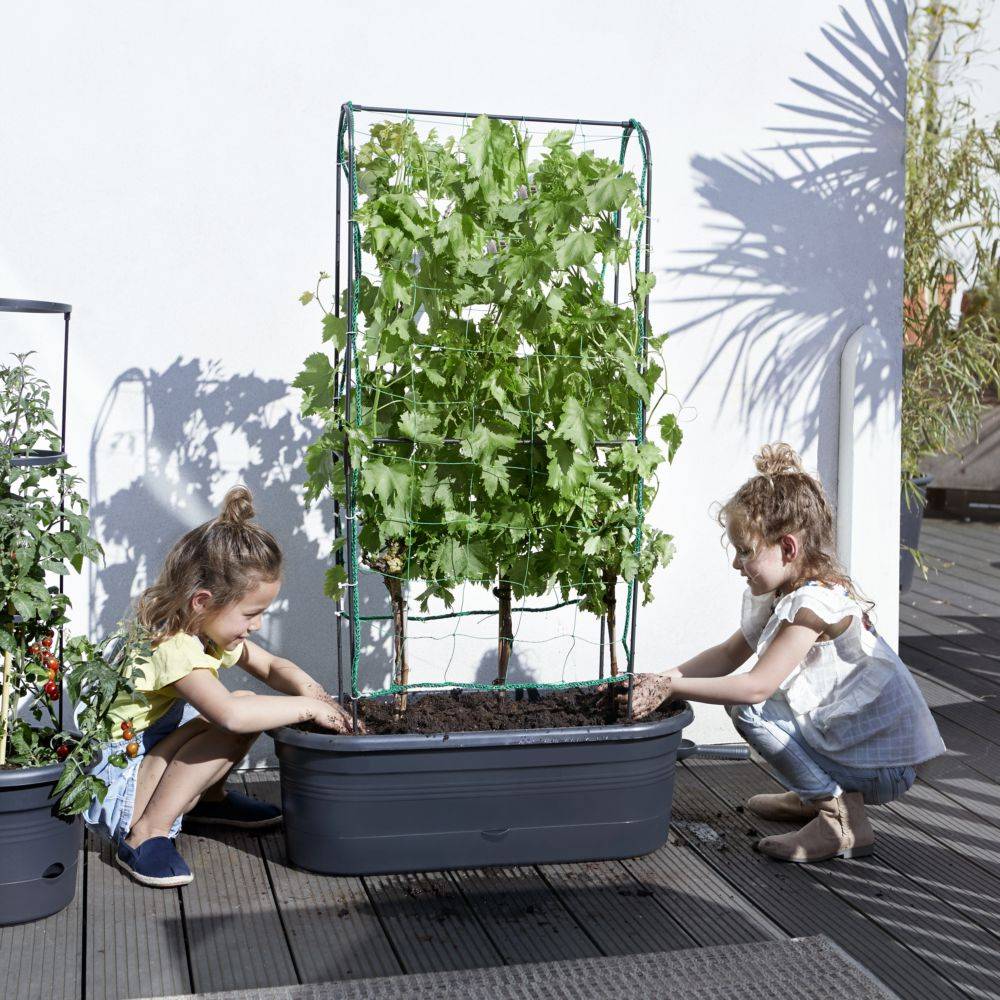 Elho - Jardinière Treillis Polypropylène Noir - ELHO - Image 7
