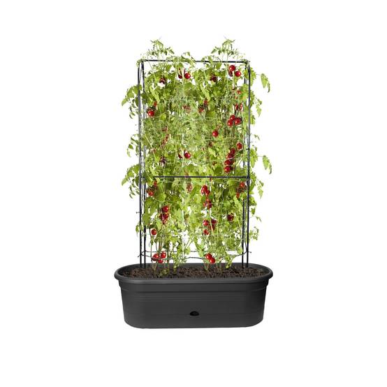 Elho - Jardinière Treillis Polypropylène Noir - ELHO - Image 9