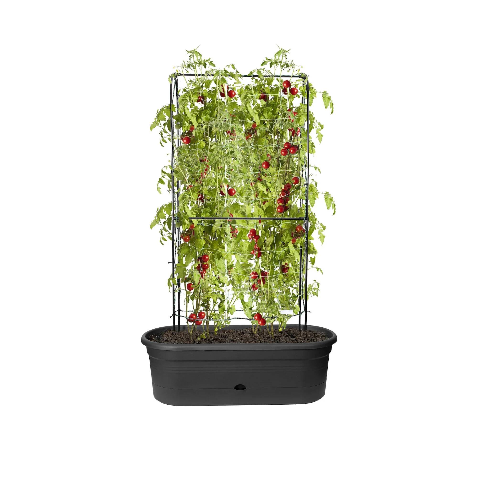 Elho - Jardinière Treillis Polypropylène Noir - ELHO - Image 9