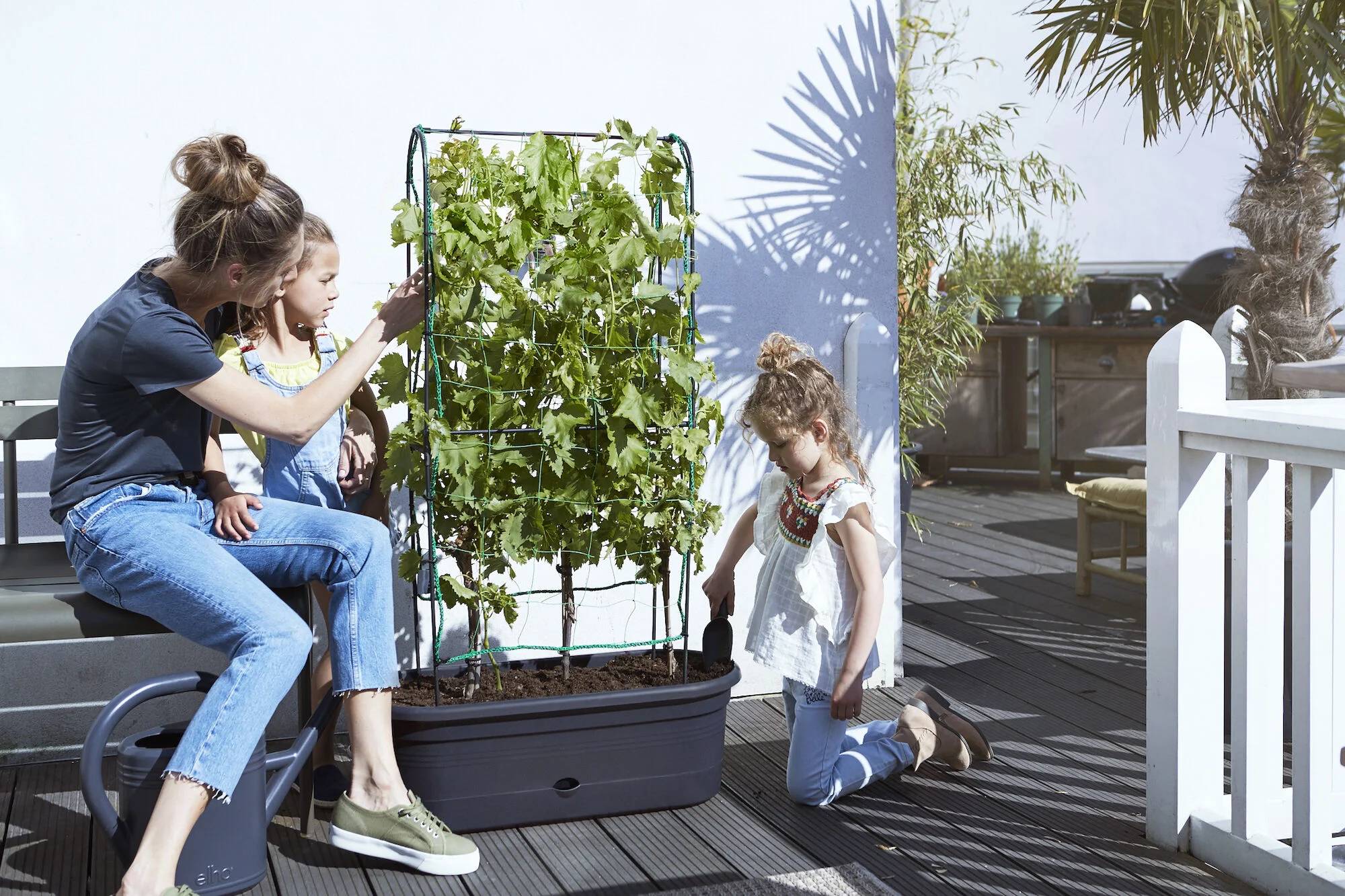 Elho - Jardinière Treillis Polypropylène Noir - ELHO - Image 11