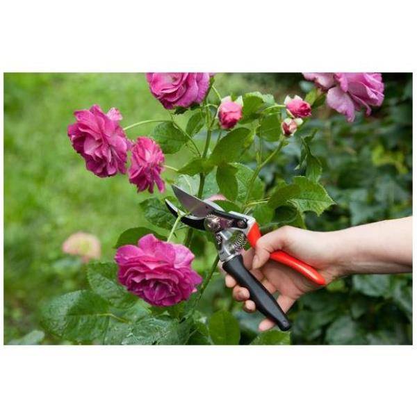 Outils Wolf - Sécateur coupe franche OGAT poignée tournante 3 positions d'ouverture - Outils Wolf - Image 1