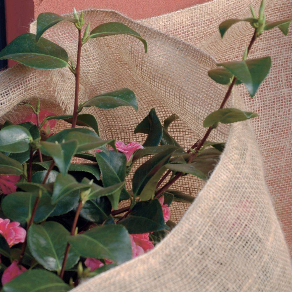 Nortène - Rouleau de protection hivernale en jute L. 10 x l. 1 m 200g/m² - Nortène - Image 3
