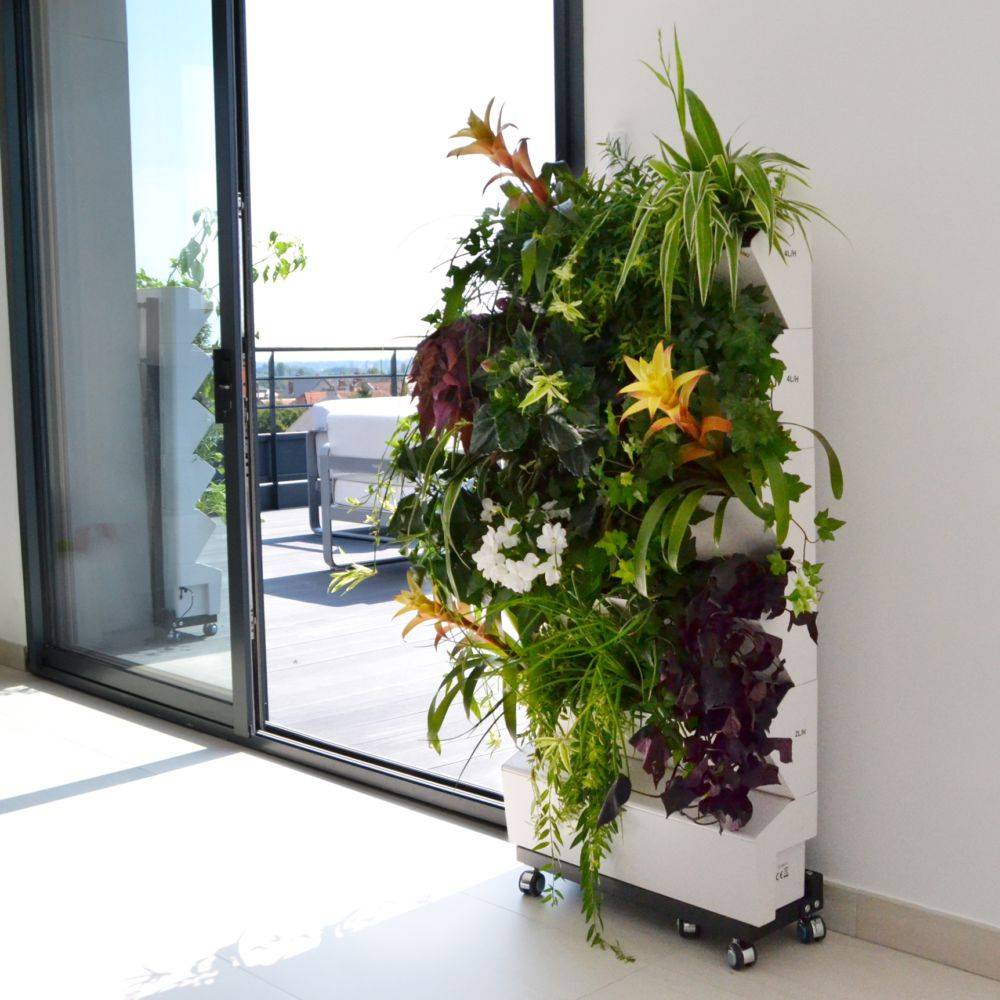 Support Végétal Vertical Home Garden - JARDIBRIC - Image 4