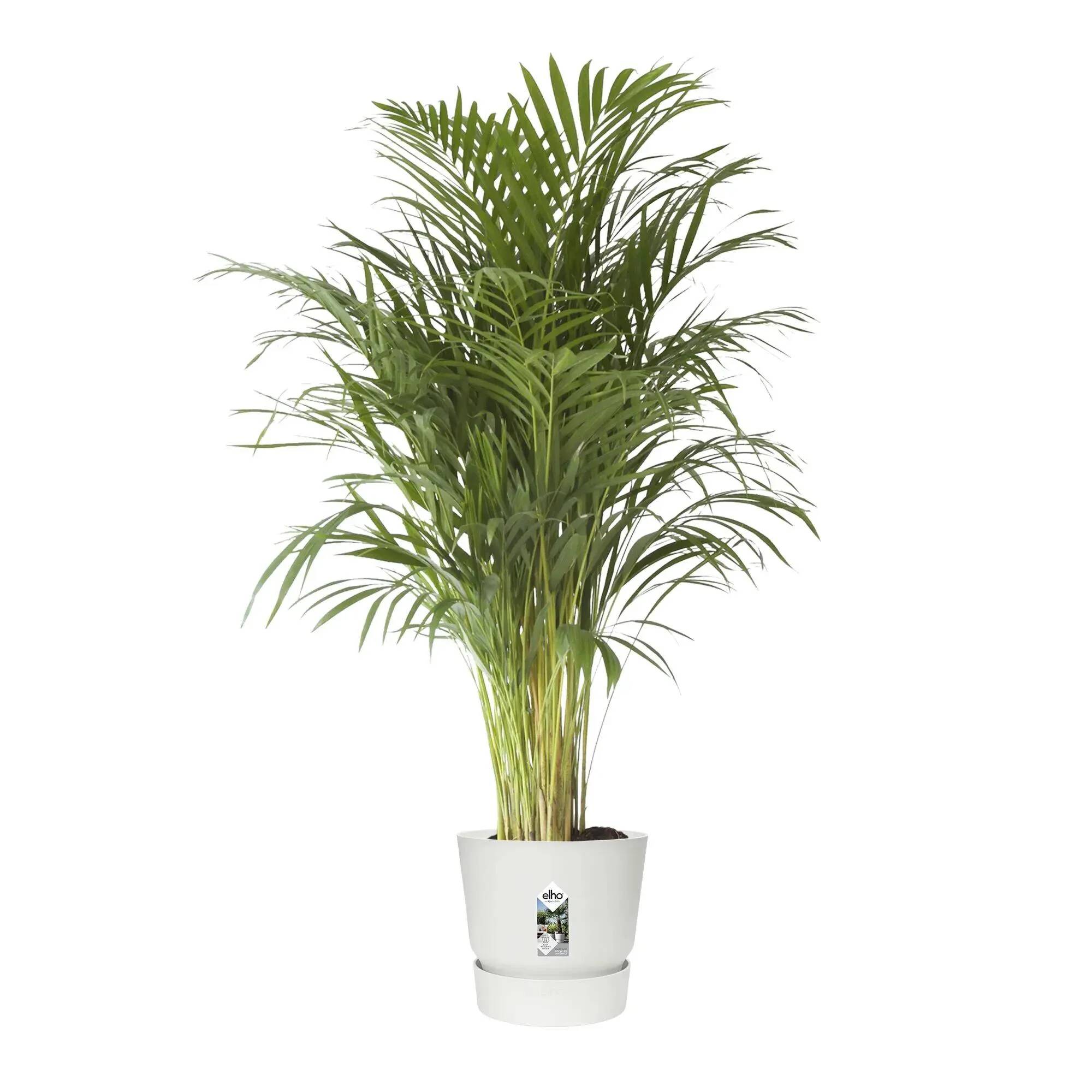 Pot Elho Greenville Ø47 H44 cm blanc - Image 12